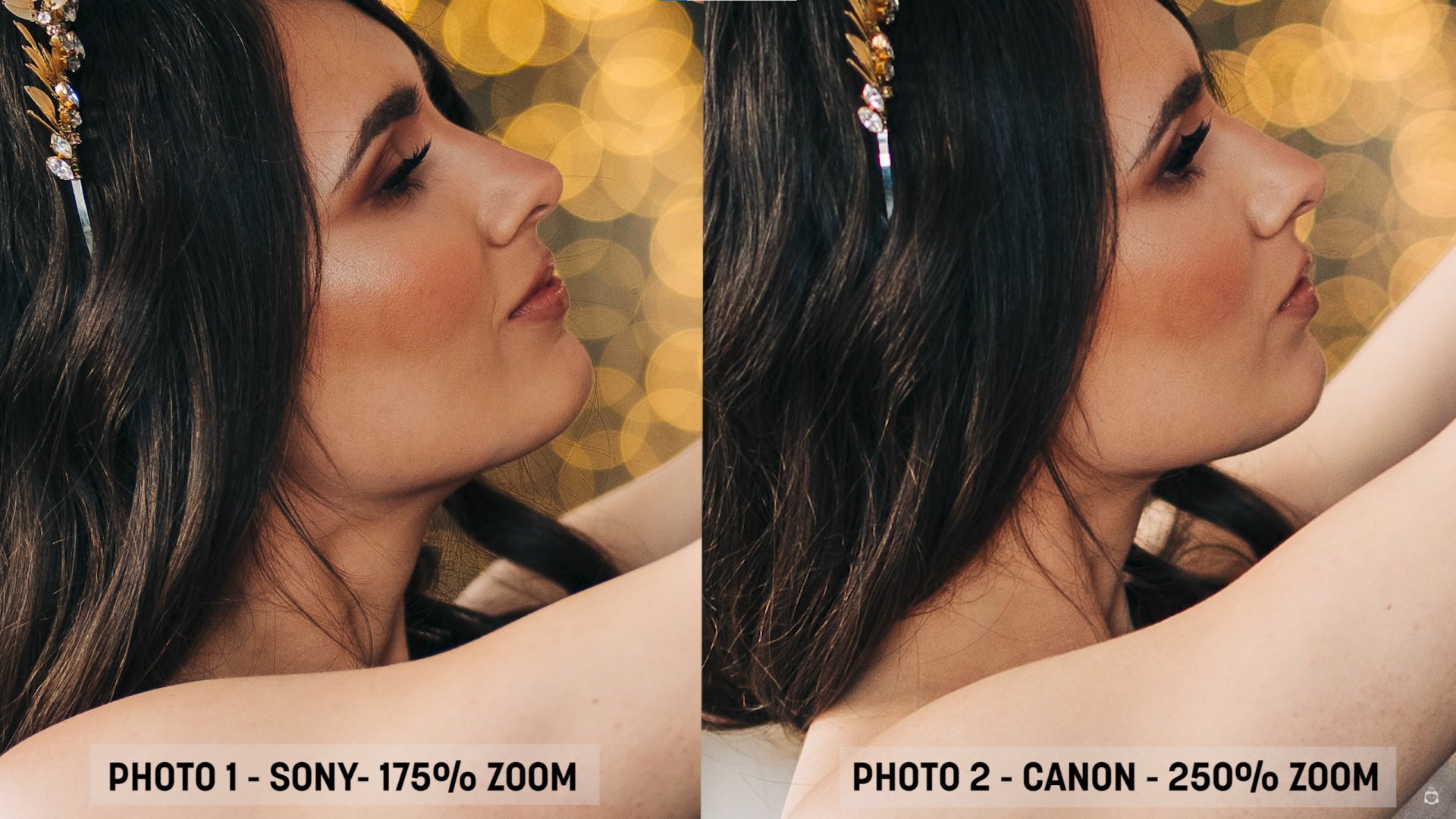 Sony FE 50mm f1.2 vs Canon RF 50mm f1.2