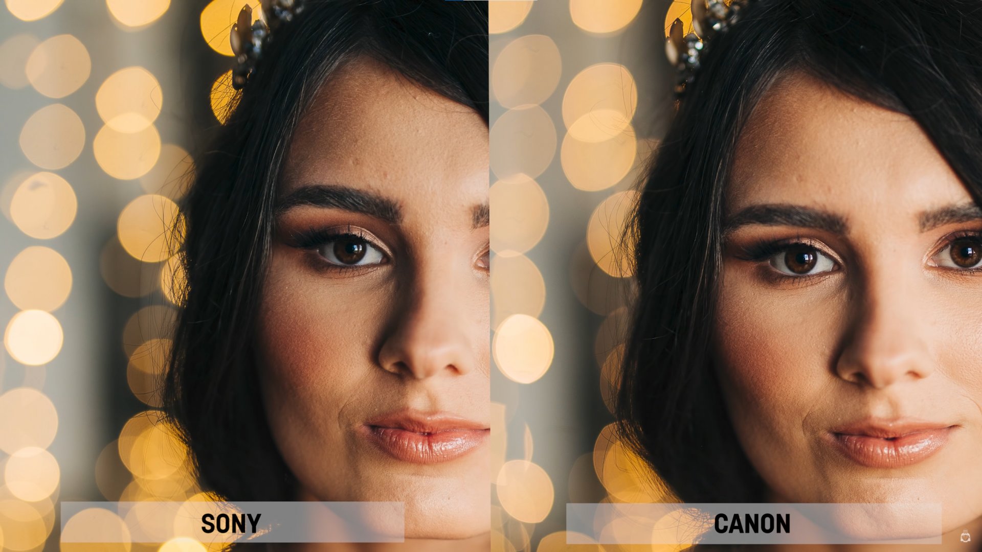 Sony FE 50mm f1.2 vs Canon RF 50mm f1.2