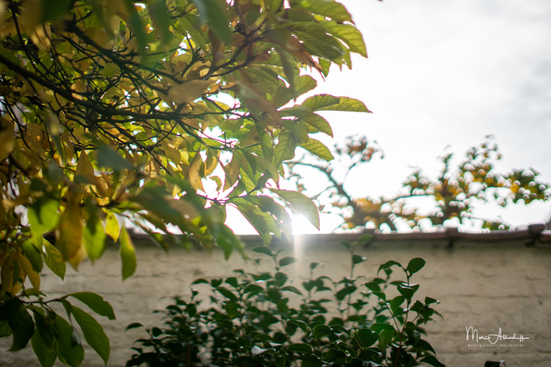 7-Artisans-35mm-F0.95-chromatic-aberration.jpg