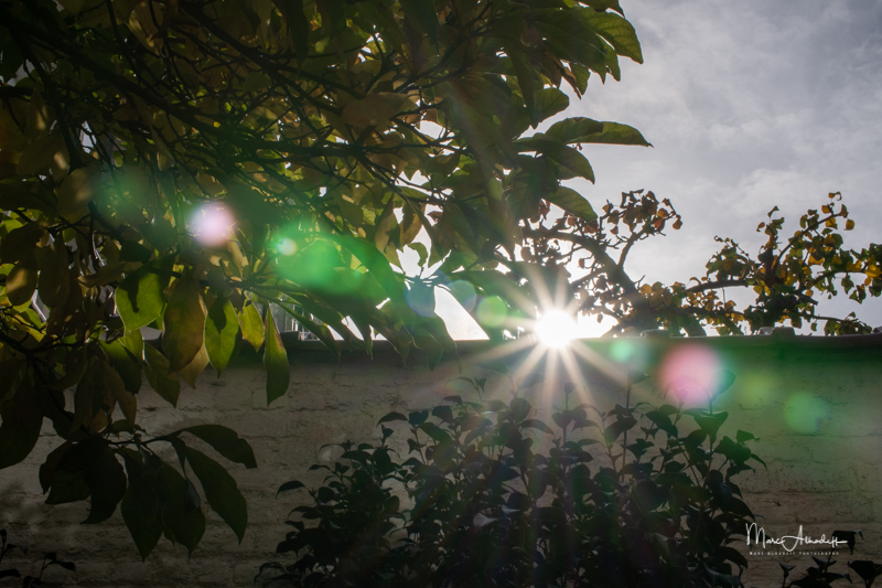 7-Artisans-35mm-F0.95-flare.jpg