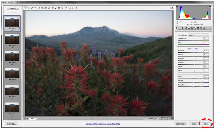 Focus Stacking sonyturk.jpg