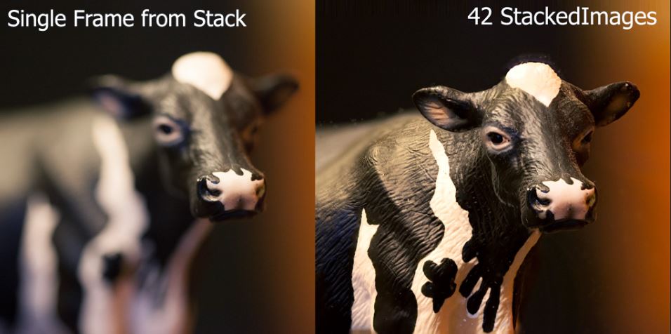 Focus Stacking sonyturk.jpg