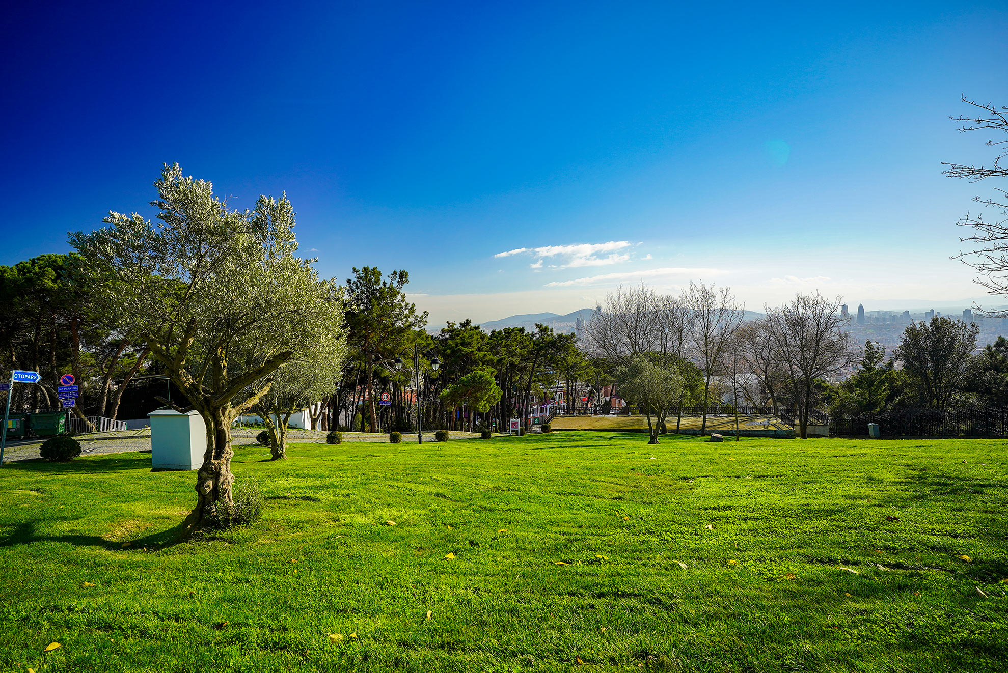 KK_00037.jpg
