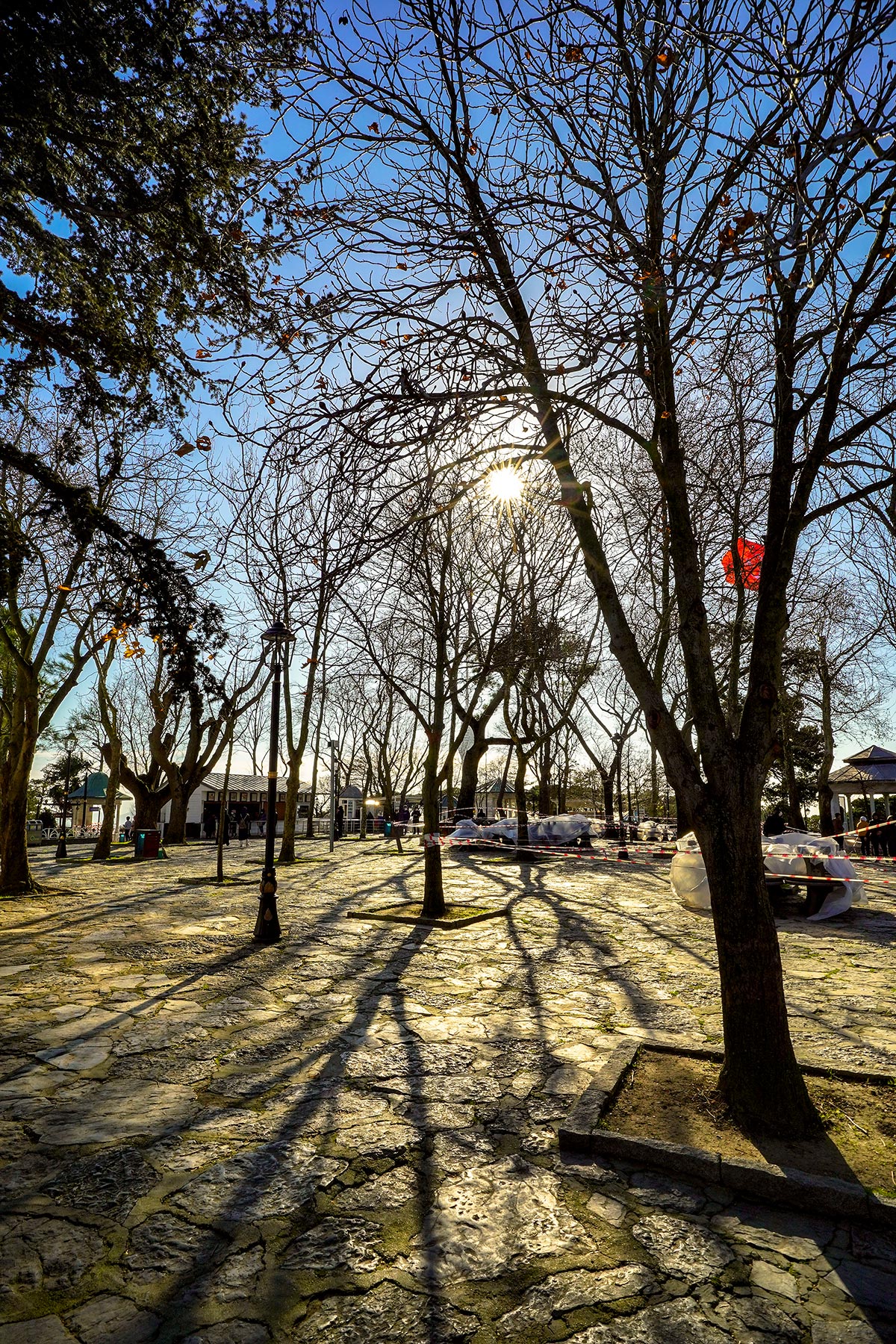 KK_00120.jpg