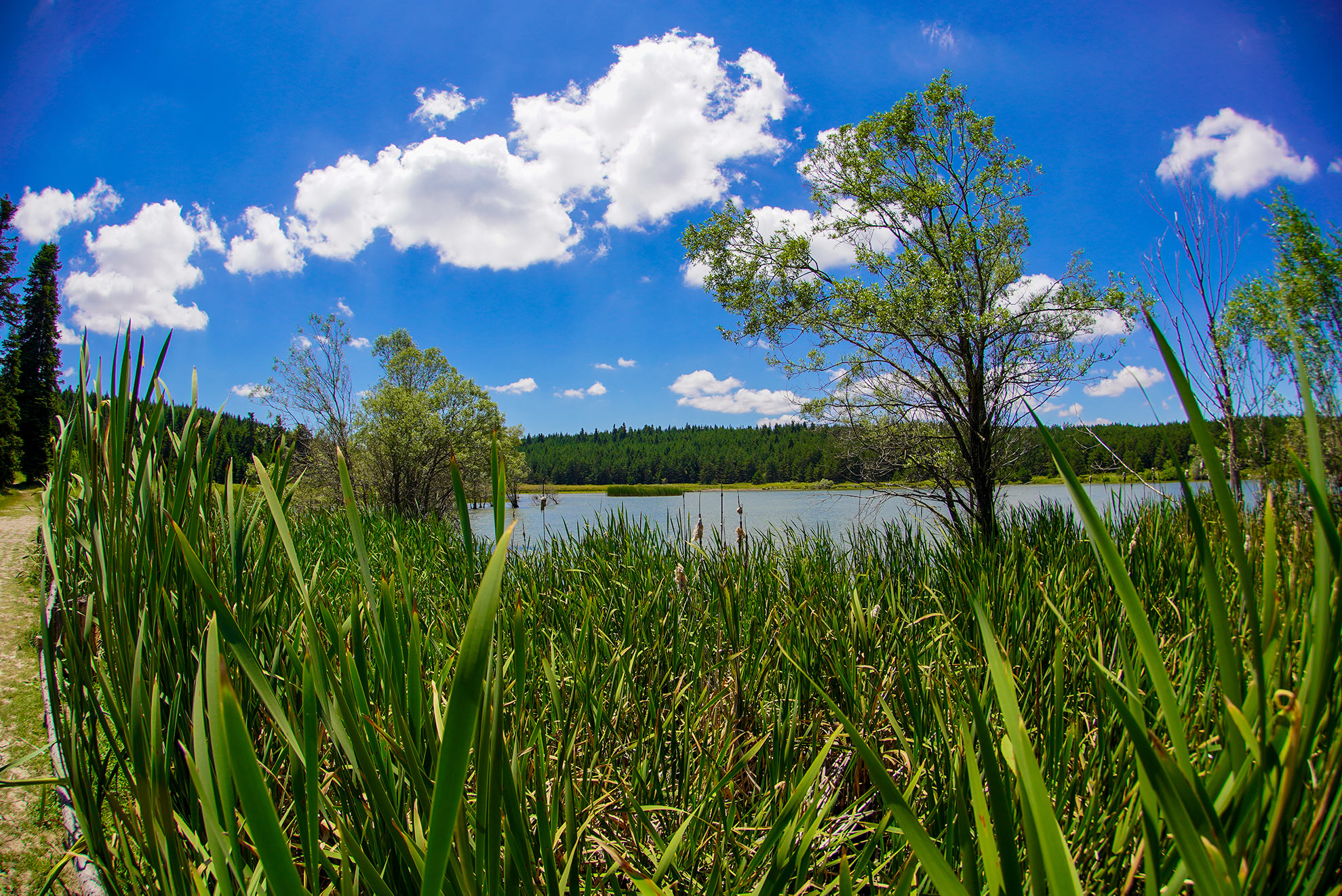 KK_05602.jpg
