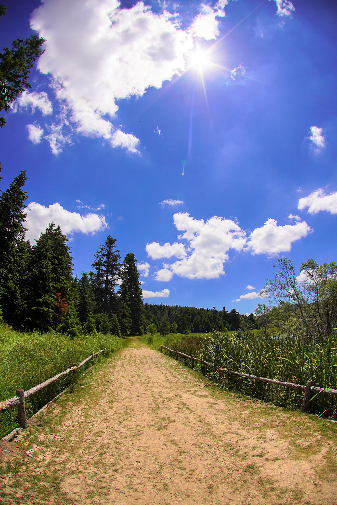 KK_05616.jpg