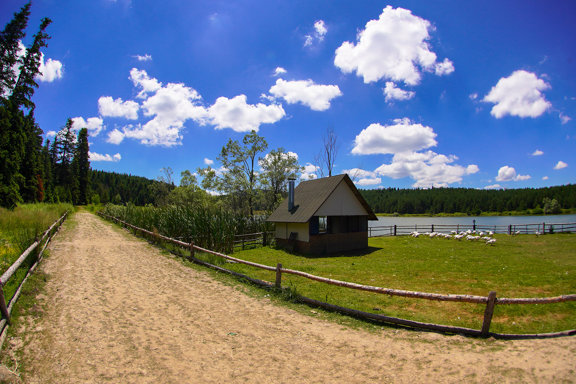 KK_05617.jpg