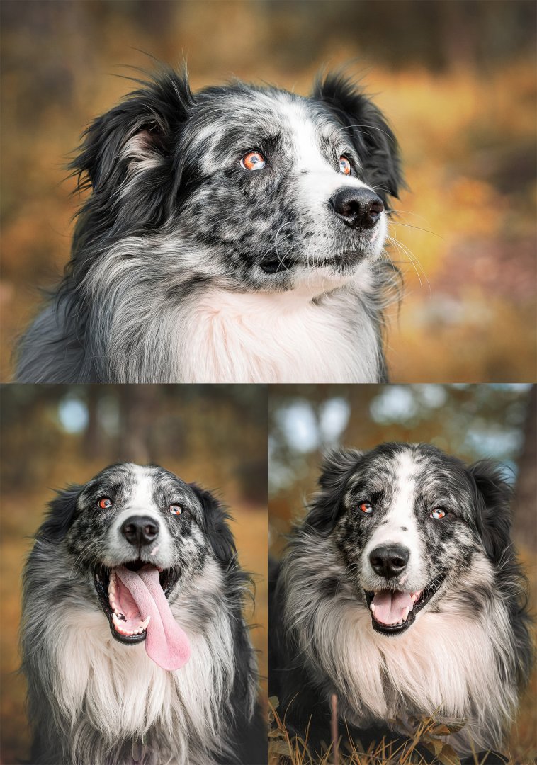 sigma-135mm-f1.4-art-sample-photos.jpg