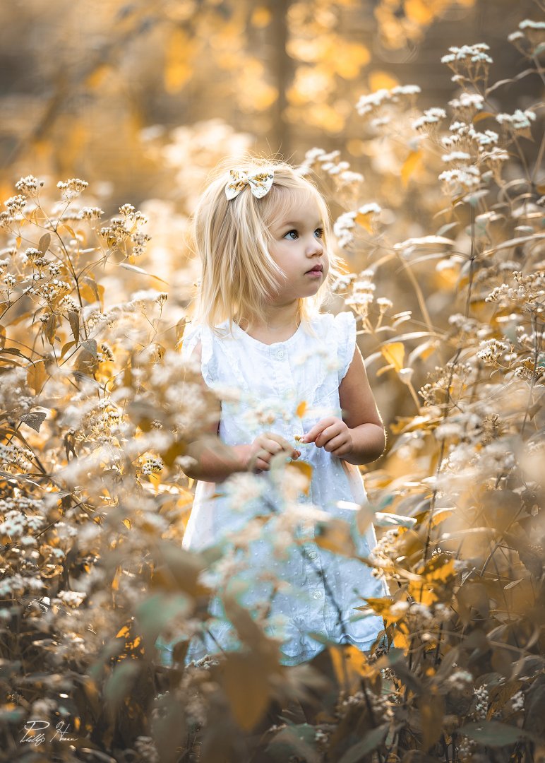 sigma 135mm f1.8 Art sample fotoğraf.jpg
