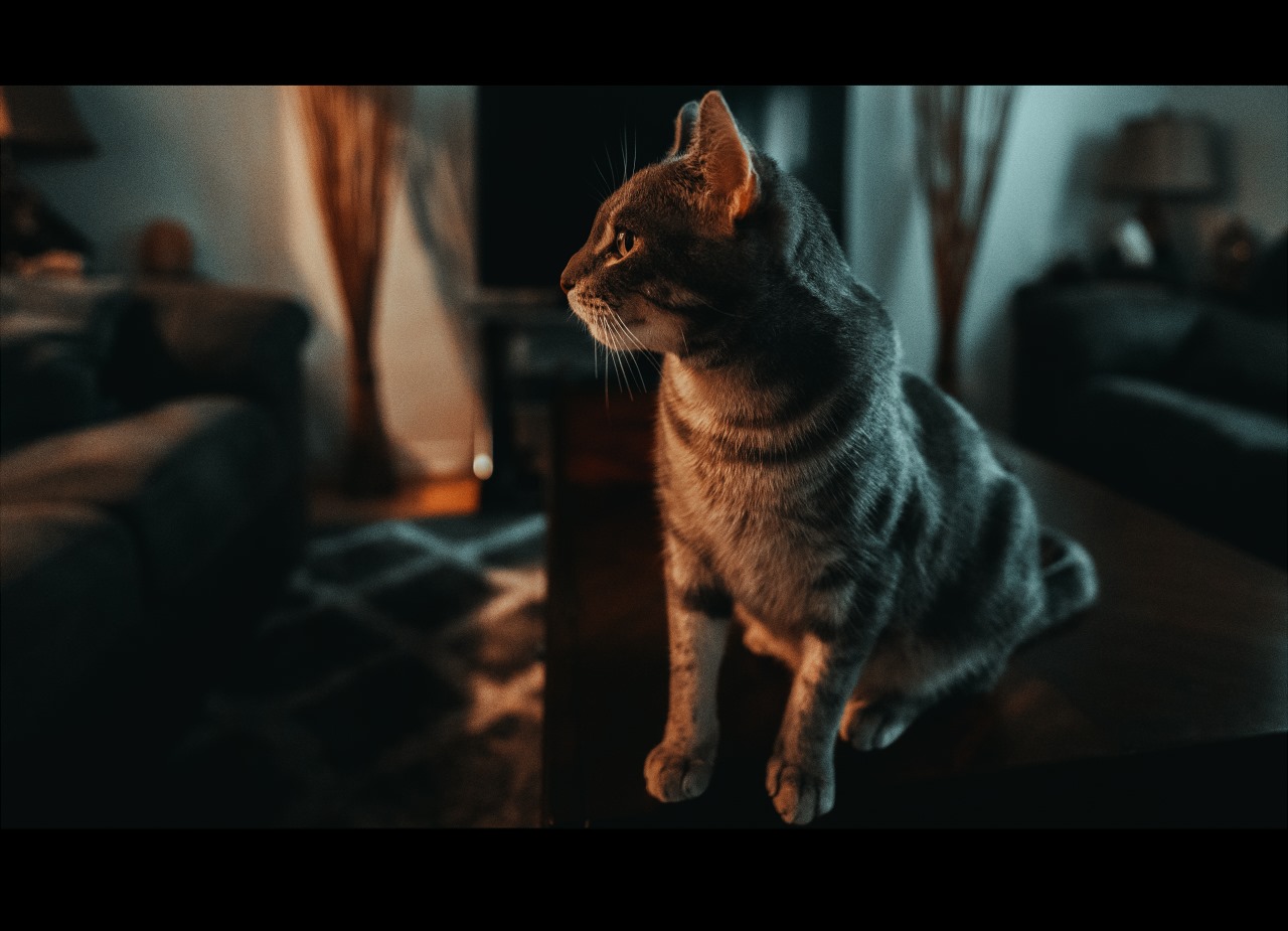 Sony 20mm f1.8 G ile çekilen fotoğraf.jpg