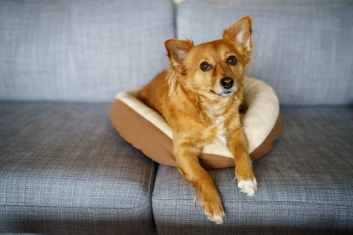 sony-35mm-f1.4-sample-photo.jpg