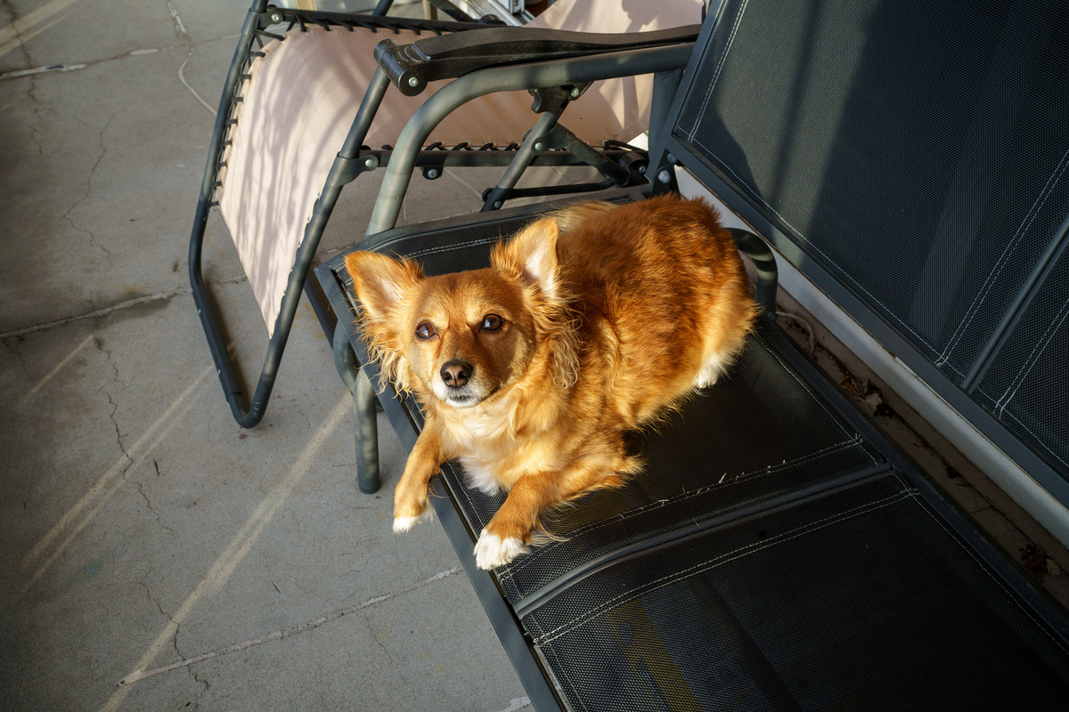 sony-35mm-f1.4-sample-photo.jpg
