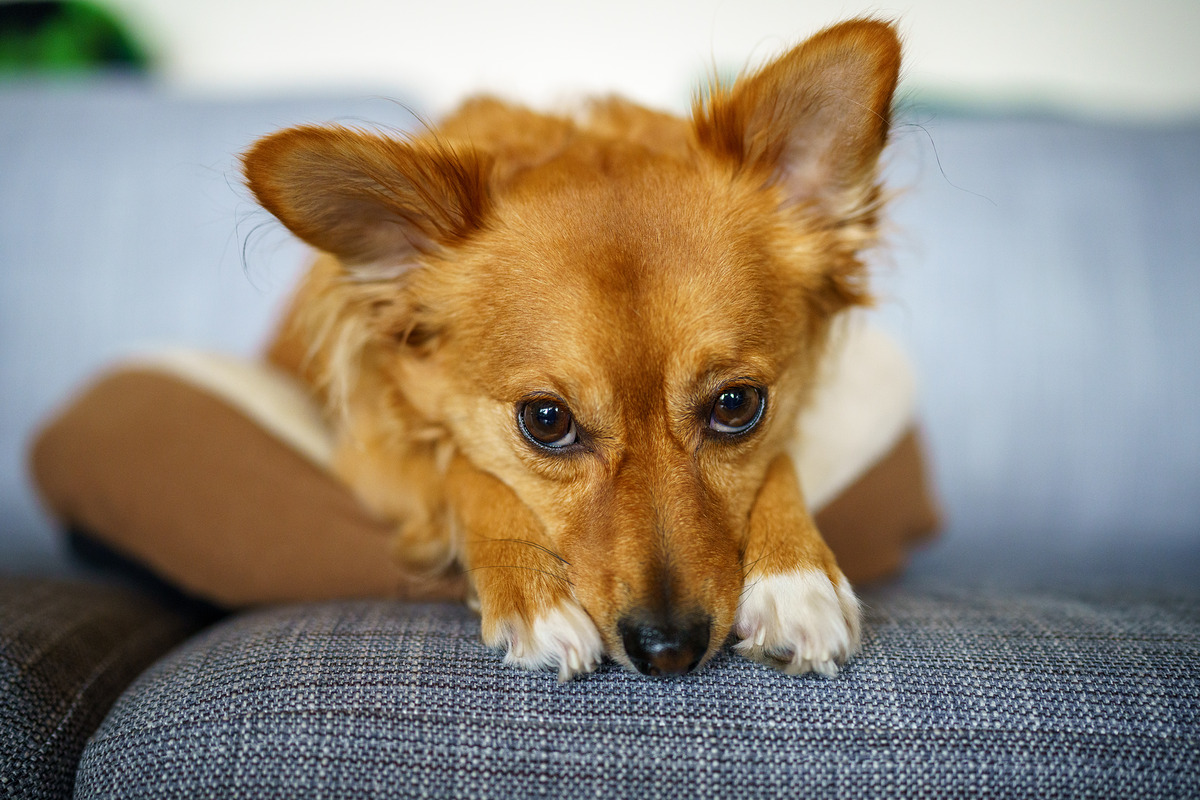 sony-35mm-f1.4-sample-photo.jpg