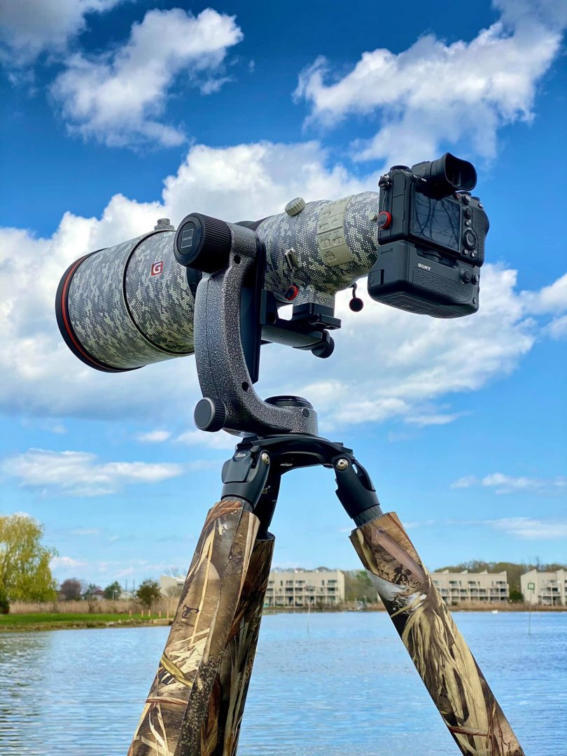 Sony A1 + Sony FE 600mm f/4 GM OSS