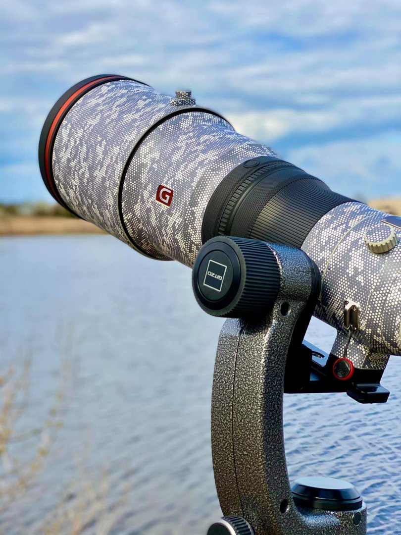 Sony A1 + Sony FE 600mm f/4 GM OSS