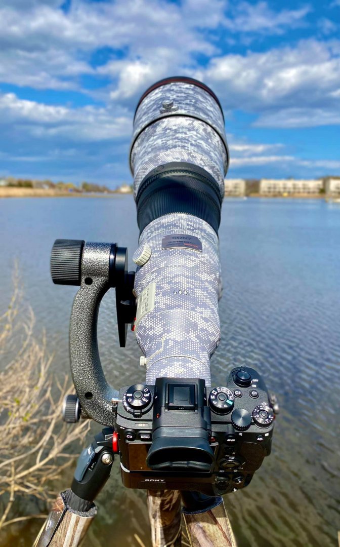 Sony A1 + Sony FE 600mm f/4 GM OSS