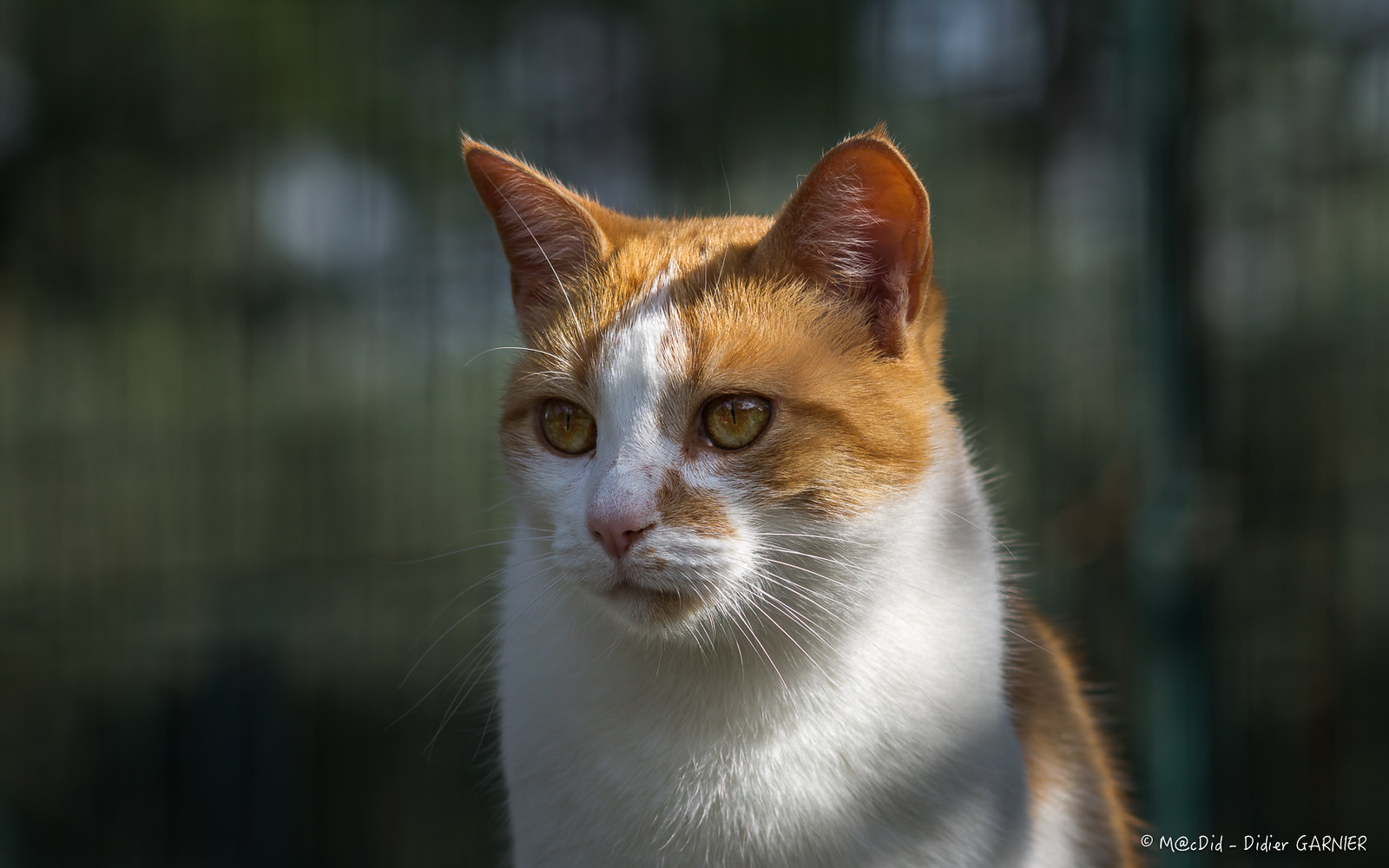 sony-a3000-örnek-fotograf-2.jpg