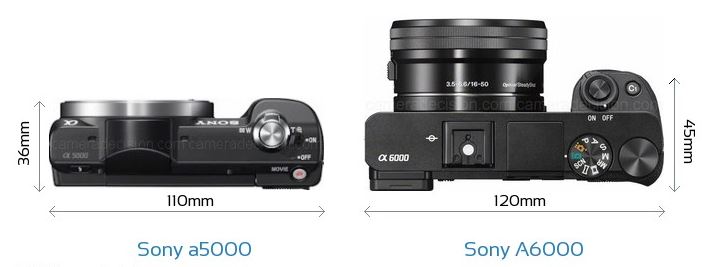 Sony A6000 vs A5000.JPG