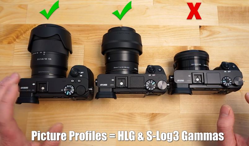Sony A6600 vs A6400 vs A6100.JPG