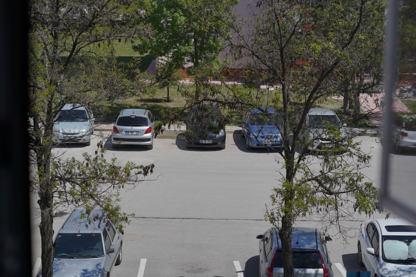 Sony-A7-III-Clear-Image-Zoom-Test.JPG