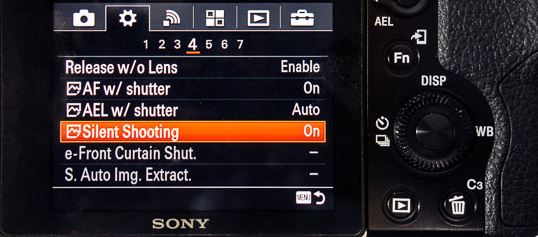 sony A7 III silent shutter.JPG