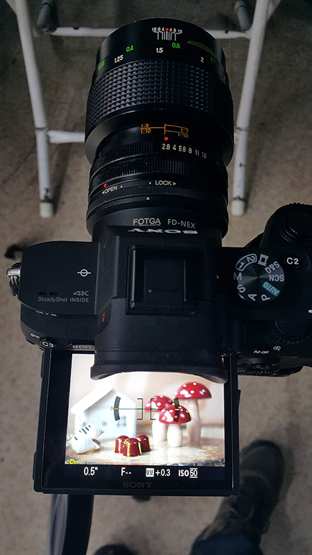 sony-a7iii-vivitar-55mm-f2.8-makro-çekim.jpg