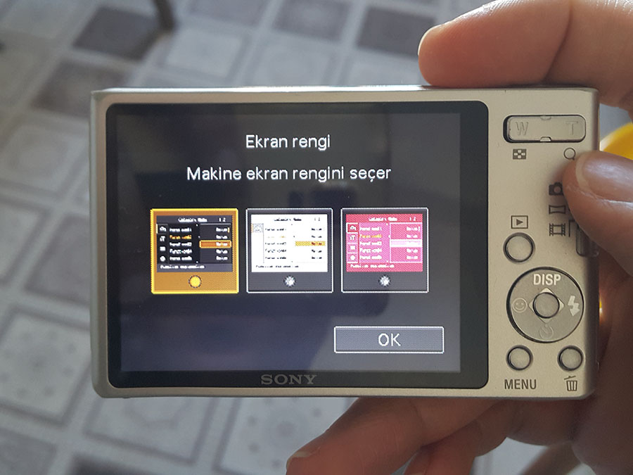 Sony DSC W550 sonyturk.jpg