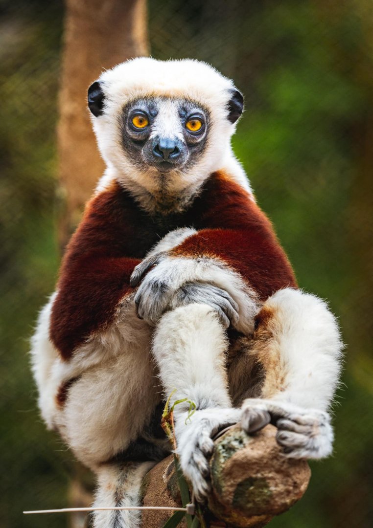 Sony FE 200-600mm Örnek Fotoğraf 5.jpg
