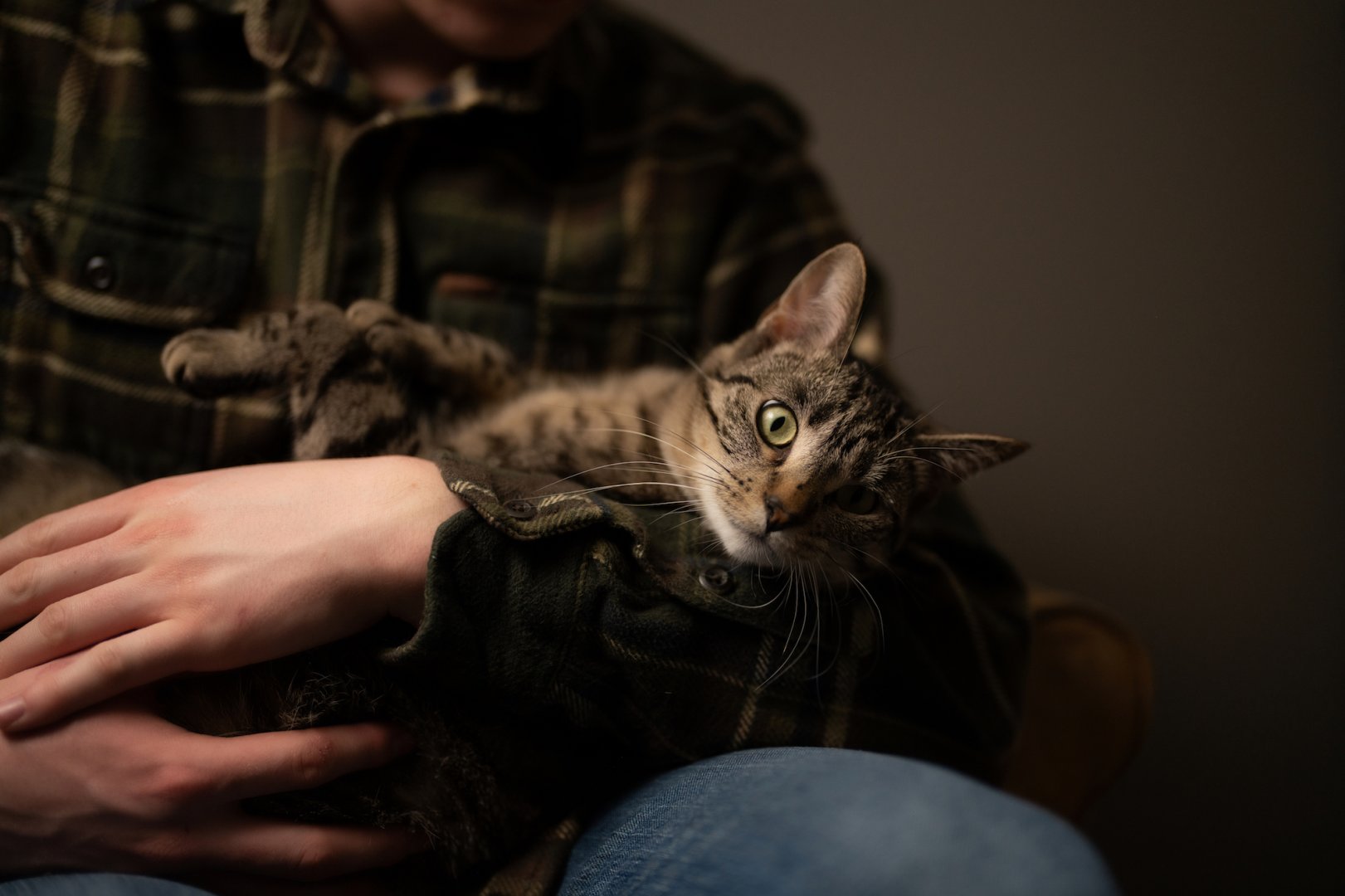 Sony FE 50mm f1.2 G Master İle Çekilmiş Örnek Fotoğraf