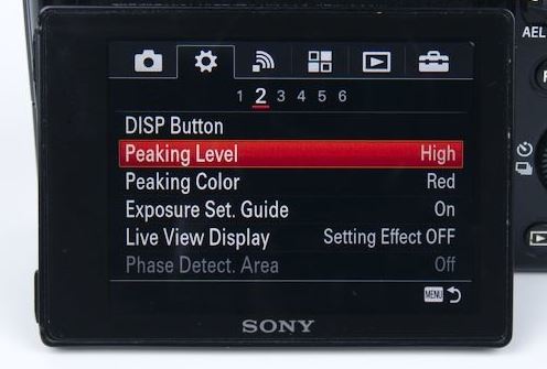 Sony Focus Peaking.JPG