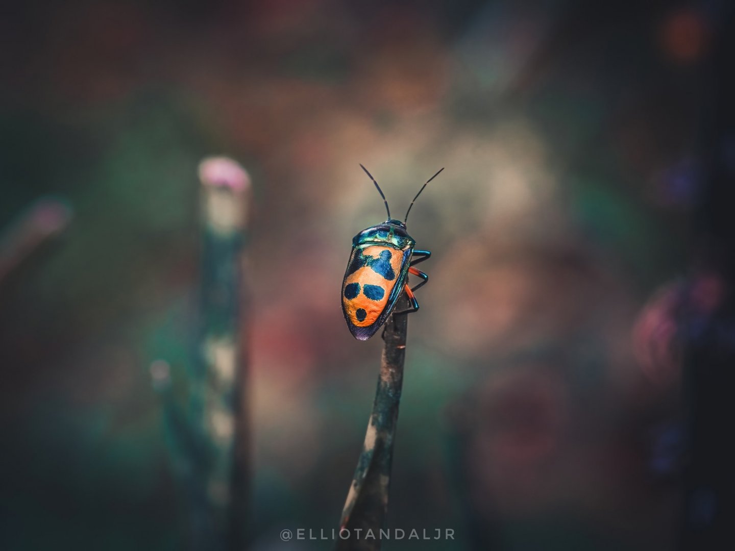 tamron-150-500mm-örnek fotograf-2.jpg