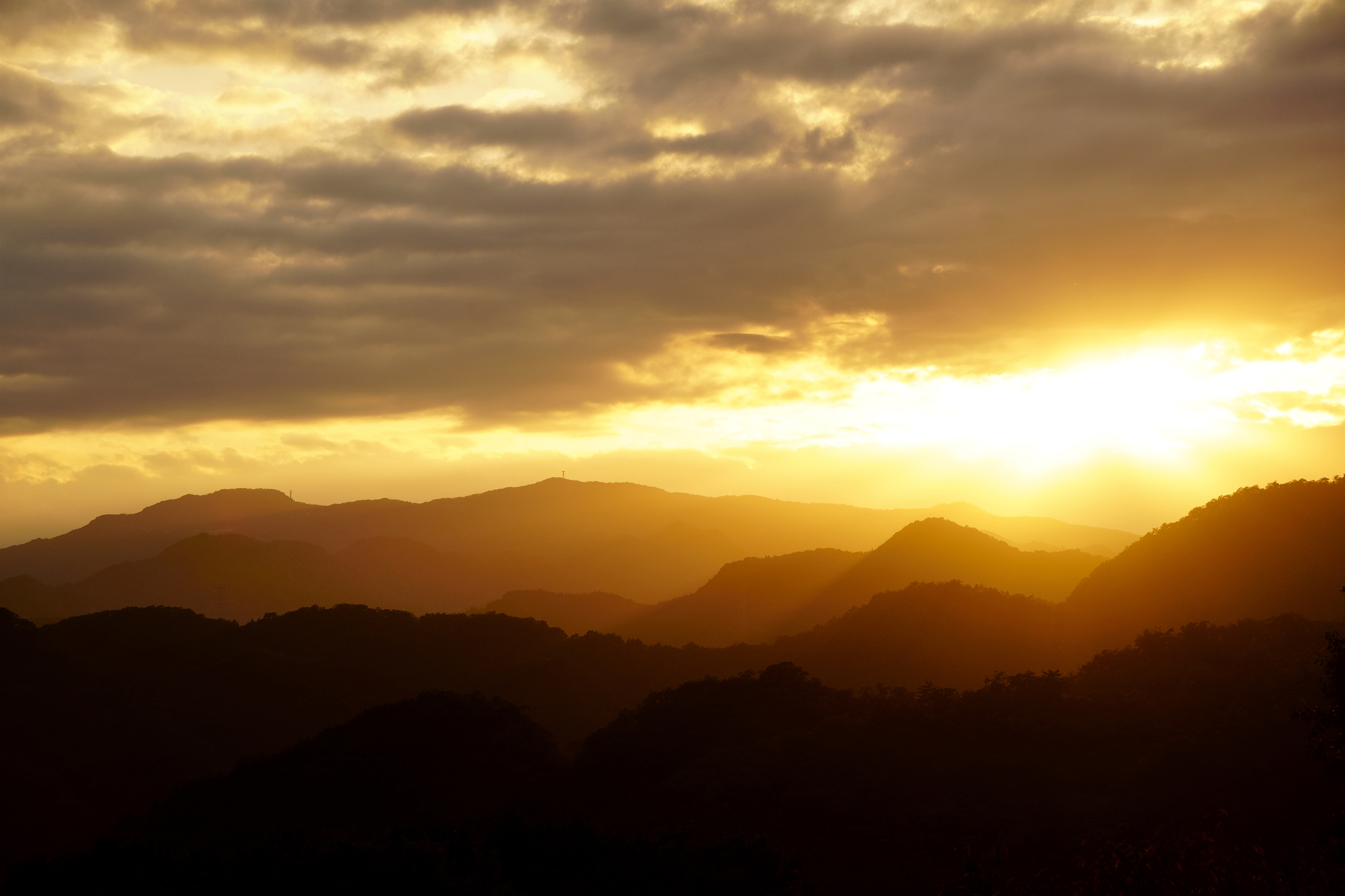 tamron-17-70mm-f2.8-sample-photo-3.jpg