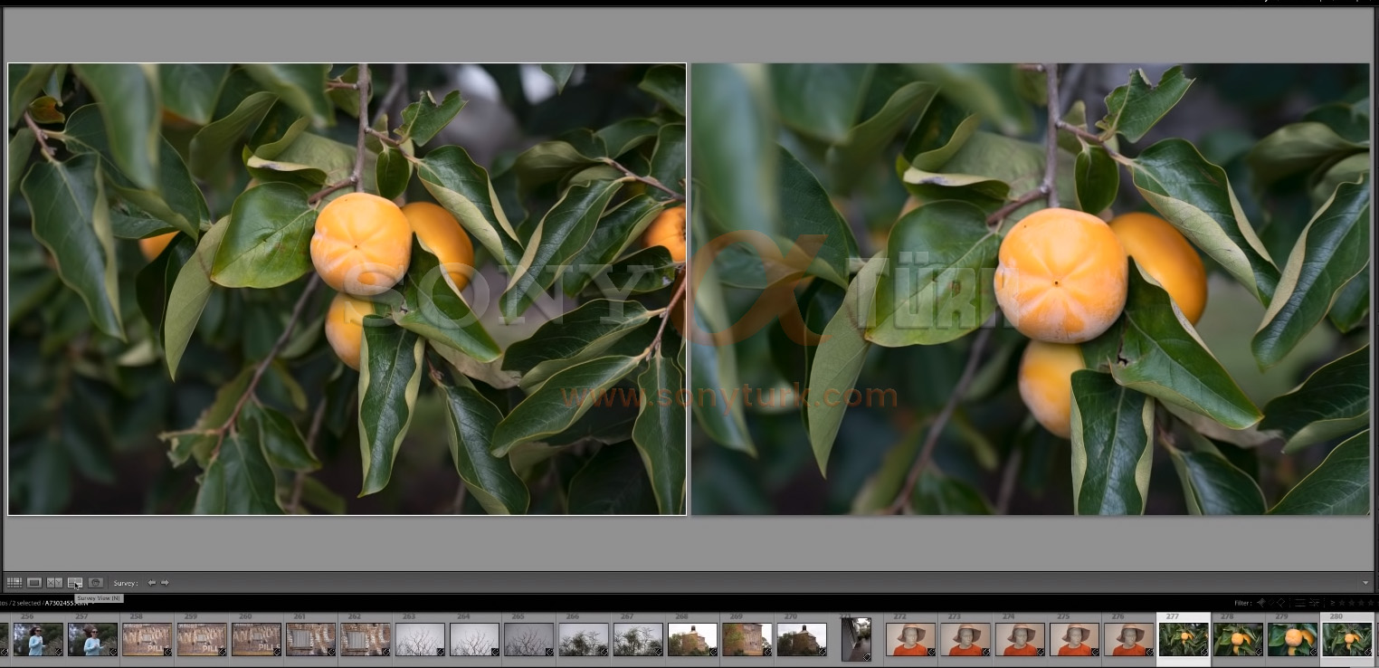 Tamron 70-180mm vs Sony 70-20mm f2.8 sonyturk.jpg