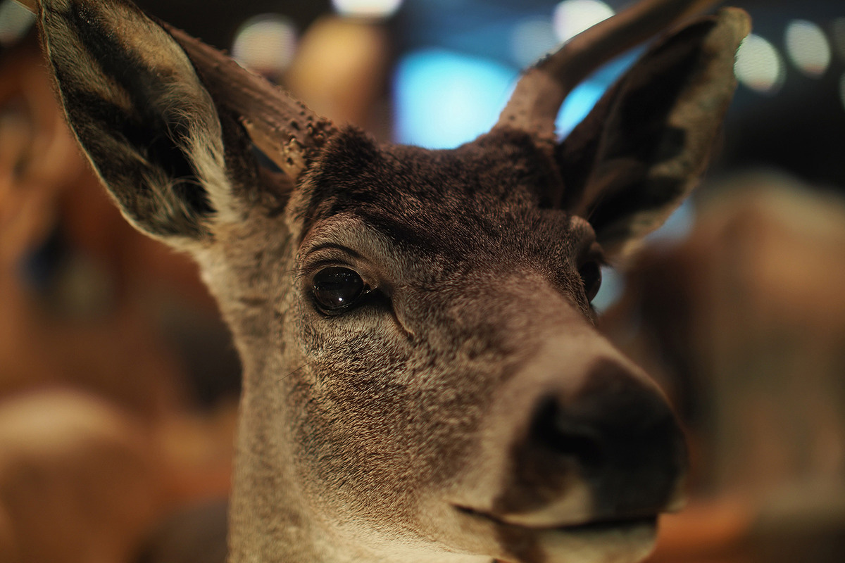 Voigtländer 29mm f0.8-sample-photo-3.jpg