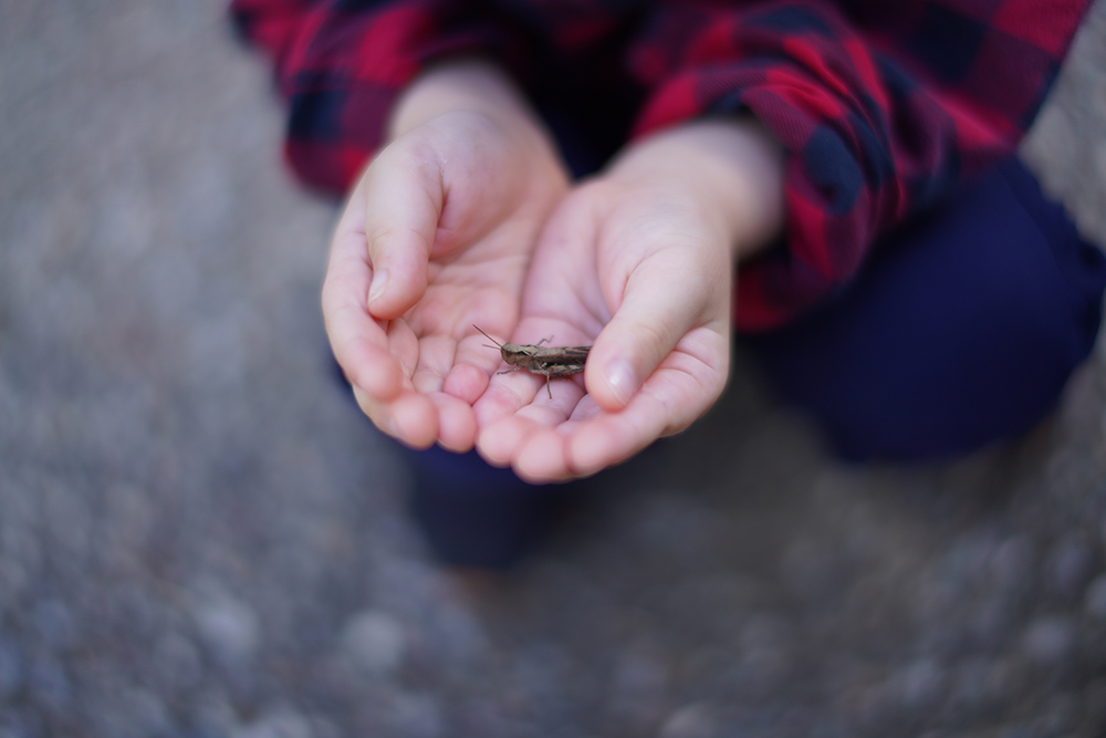 Voigtlander-35mm-f1.2-sample-photos.jpg