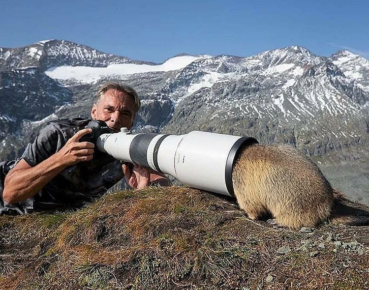 wildlife.png