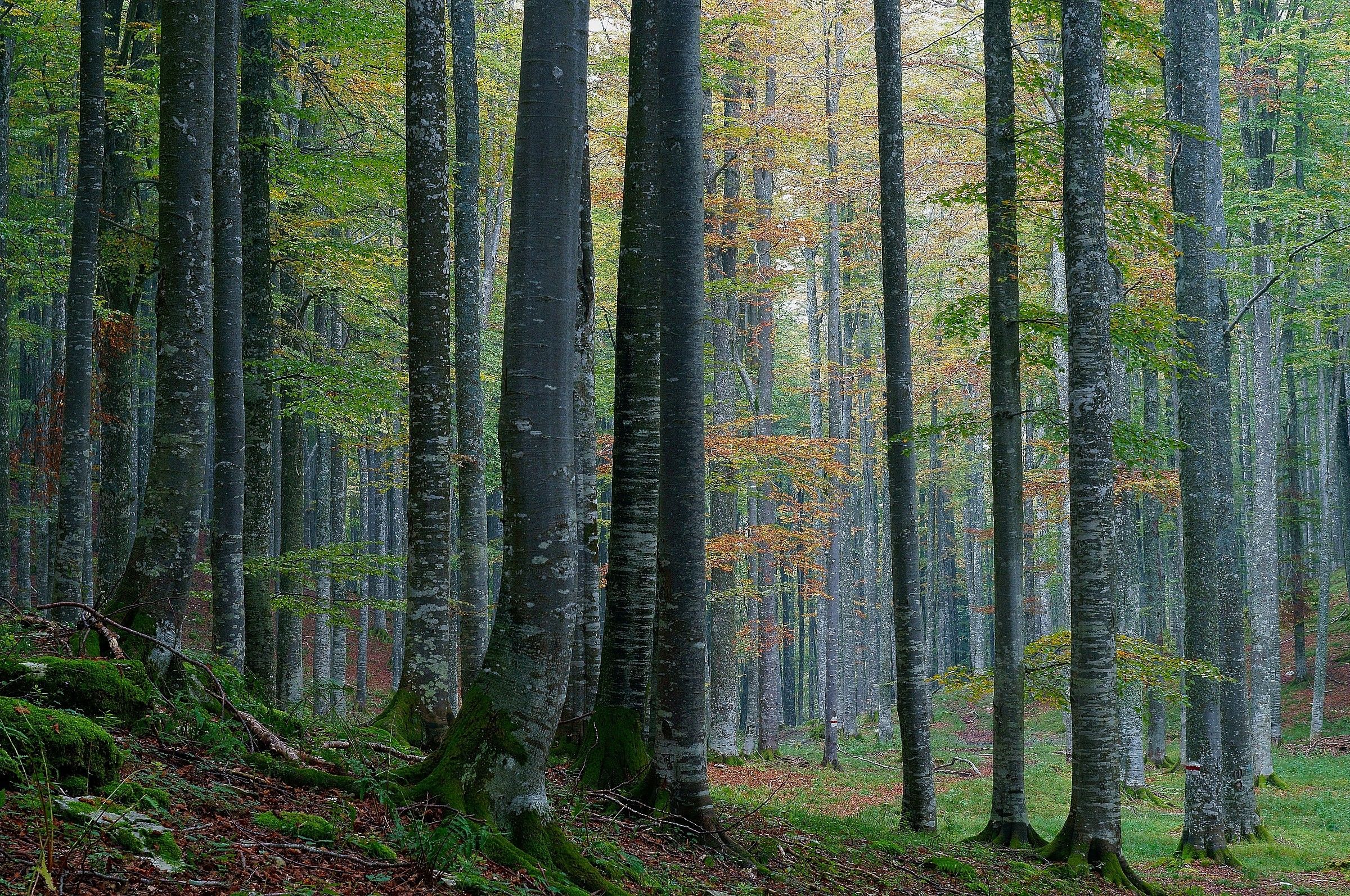 zeiss-50mm-f2.8-örnek-fotograflar.jpg