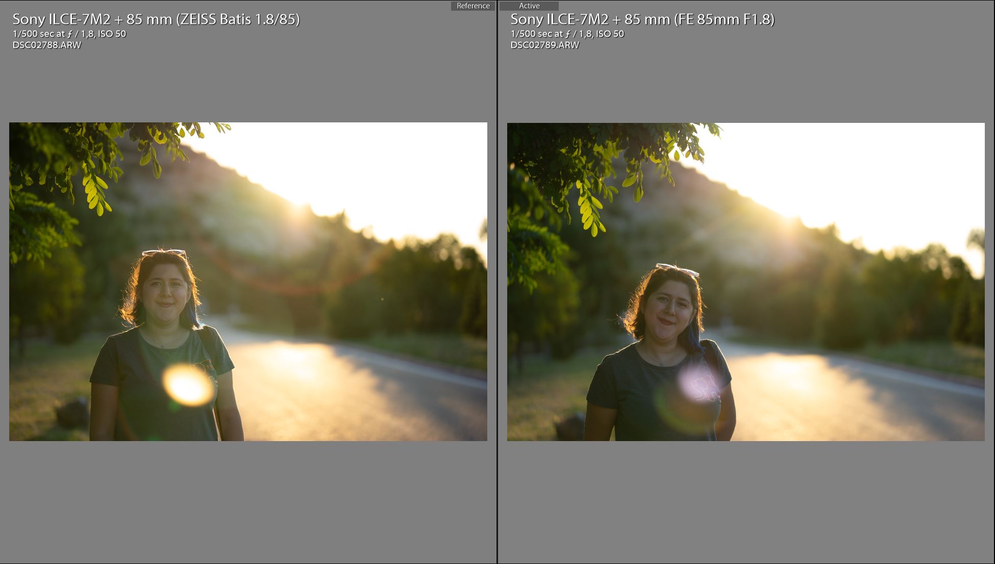 Zeiss-Batis-85mm-vs-Sony-FE-85mm-F1.8-flaring.JPG
