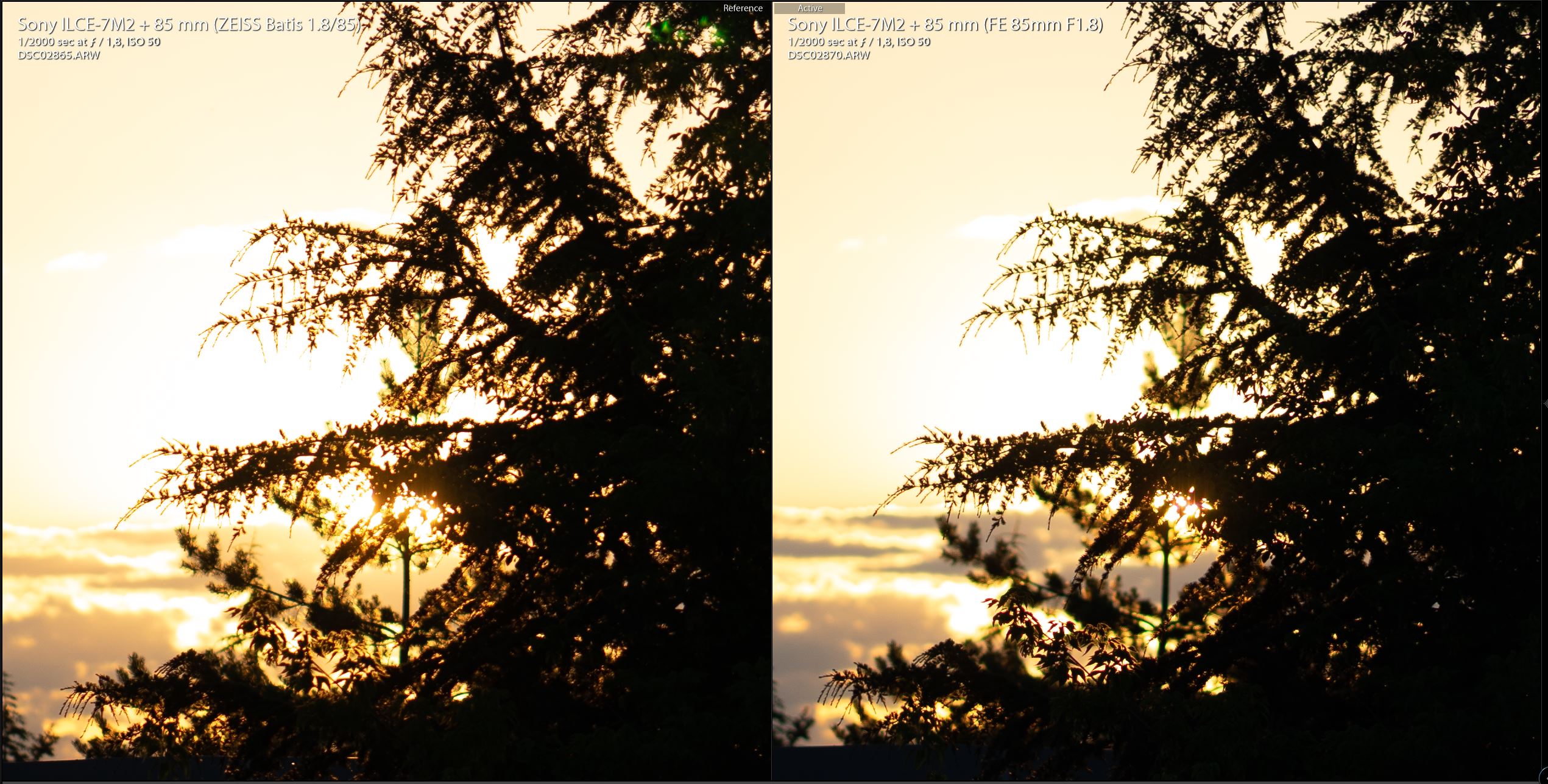 Zeiss-Batis-85mm-vs-Sony-FE-85mm-F1.8-ters-isik.JPG