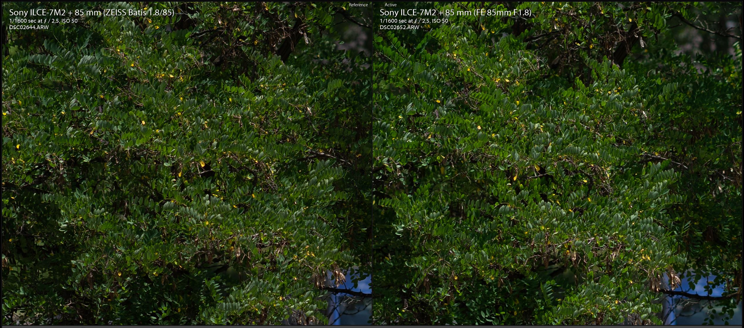 Zeiss-Batis-85mm-vs-Sony-FE-85mm-F2.5-yesil.JPG