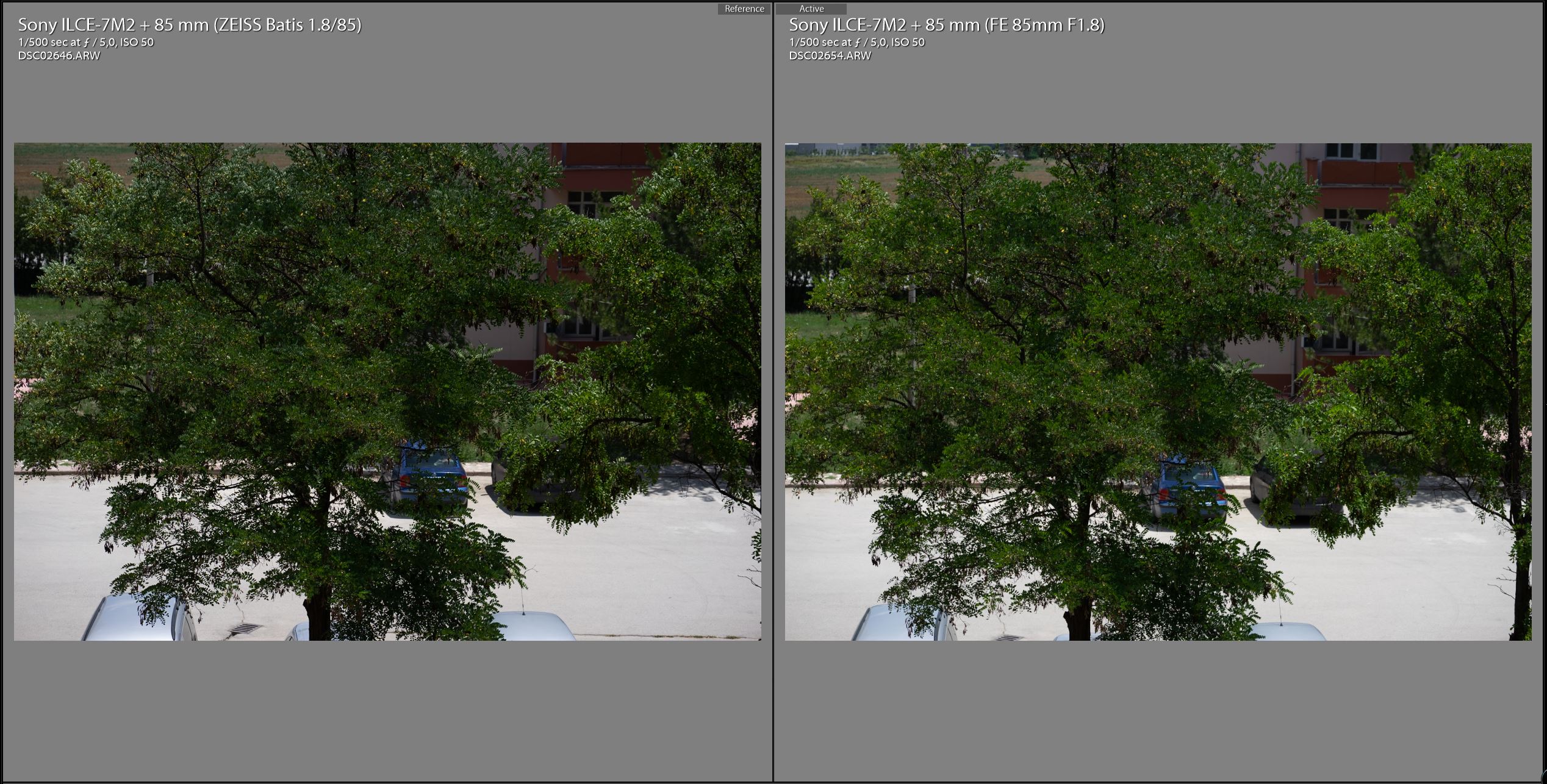 Zeiss-Batis-85mm-vs-Sony-FE-85mm-F5-yesil.JPG