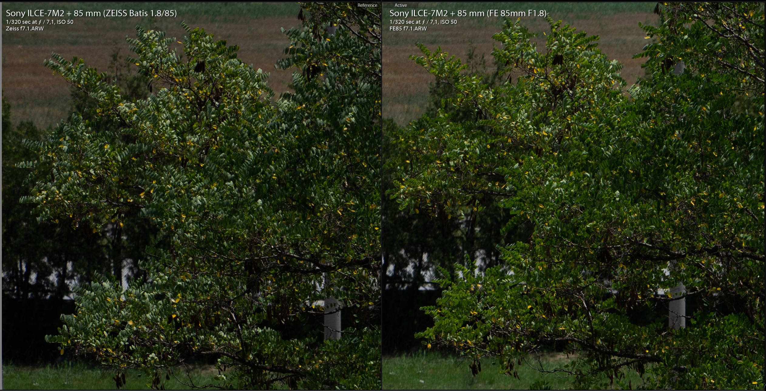 Zeiss-Batis-85mm-vs-Sony-FE-85mm-F7.1-yesil.JPG